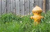 fire hydrant
