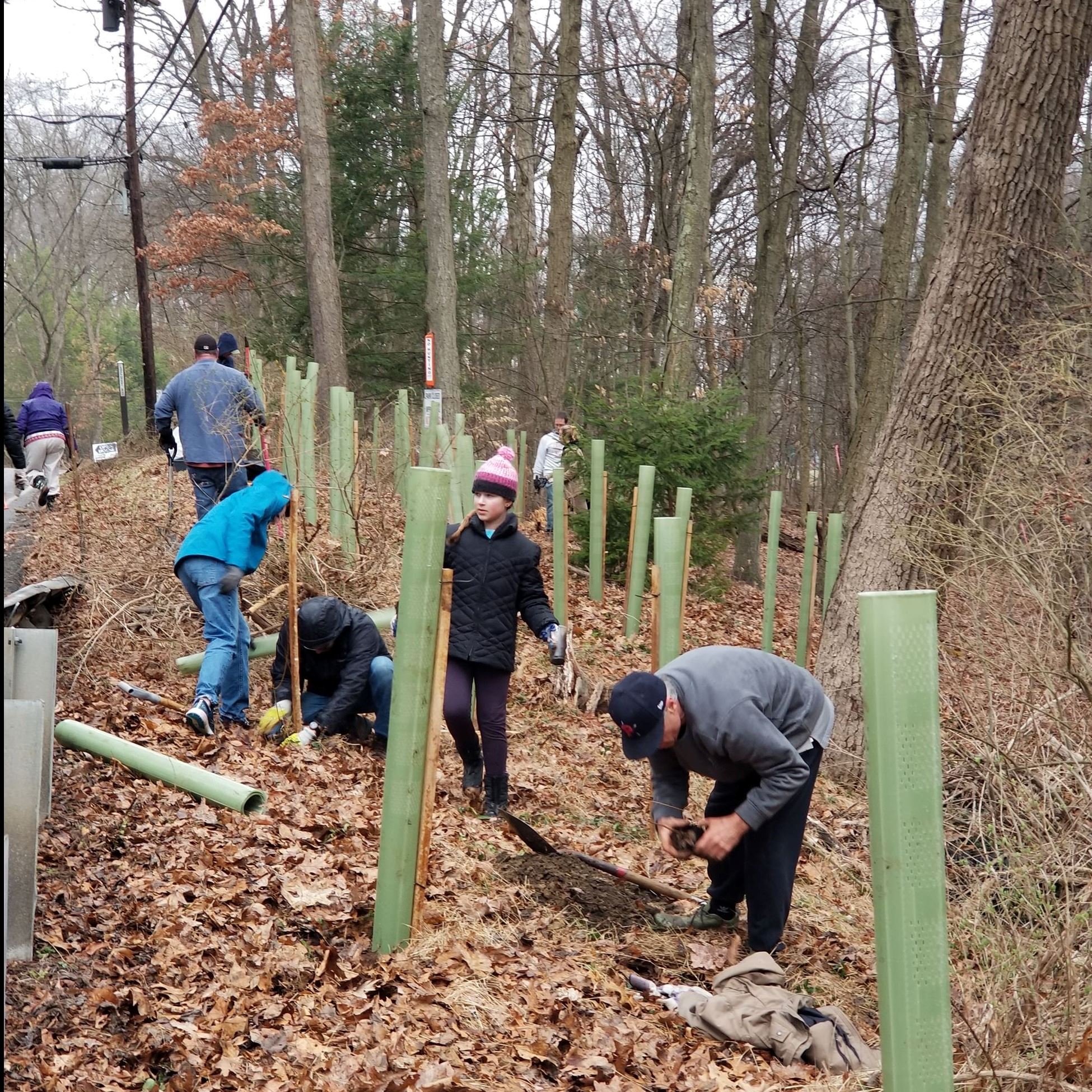 2025 Green Up Day - Photo 3