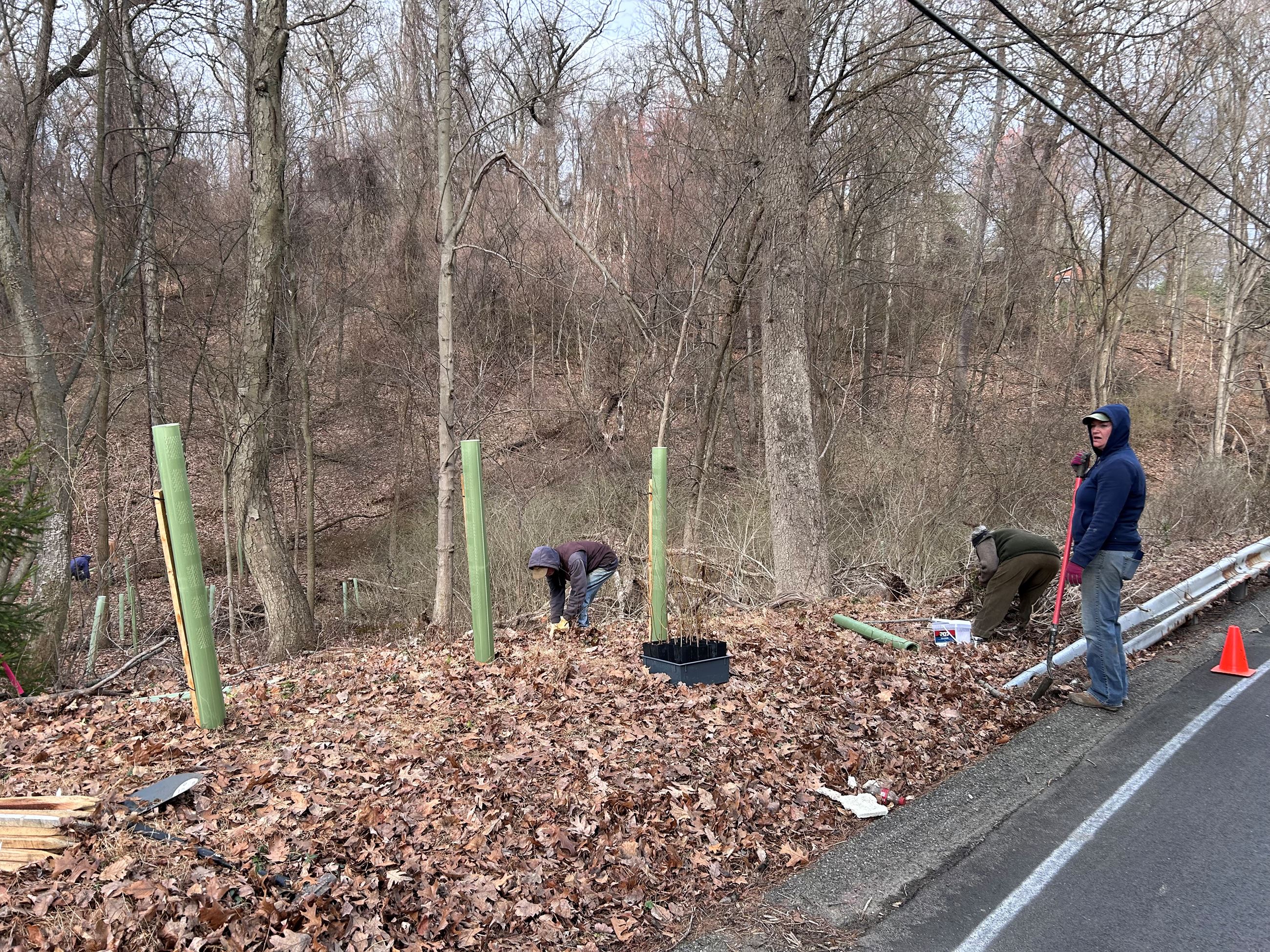 2025 Green Up Day - Photo 5